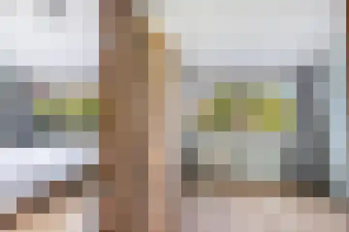 Muilwijckstraat 15 Papendrecht thumbnail 61