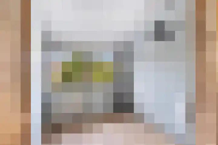 Muilwijckstraat 15 Papendrecht thumbnail 62