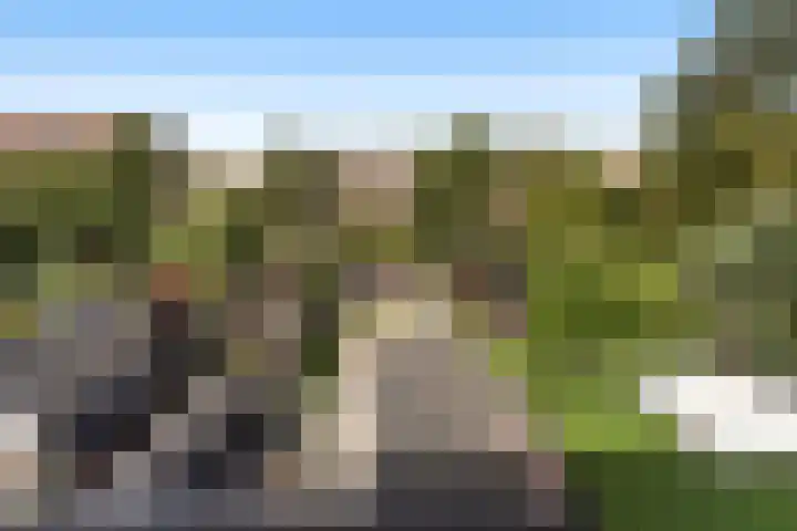Muilwijckstraat 15 Papendrecht thumbnail 64