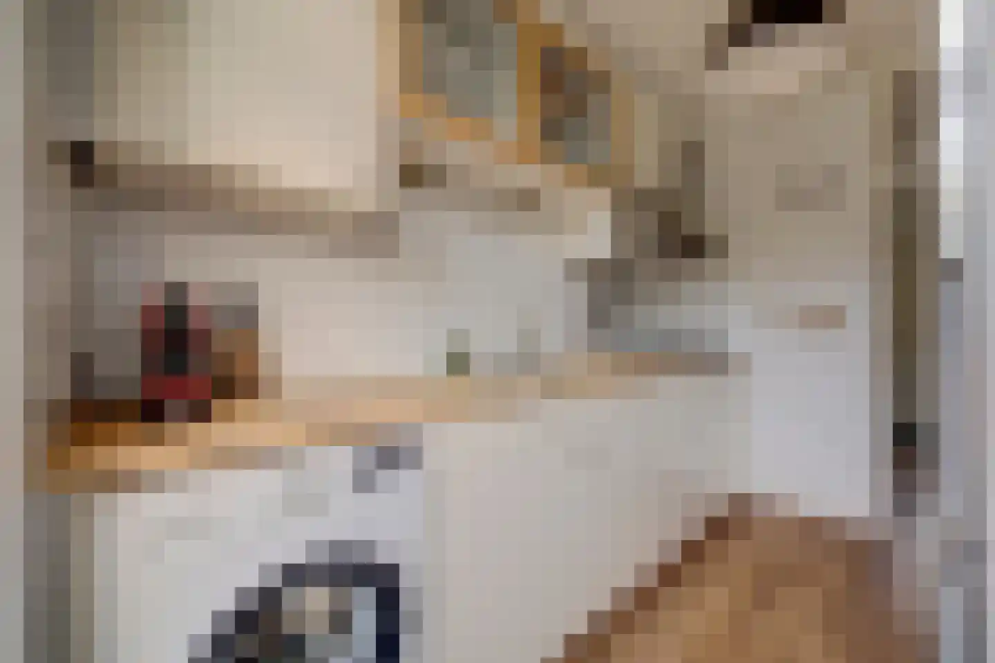 Muilwijckstraat 55 Papendrecht thumbnail 11