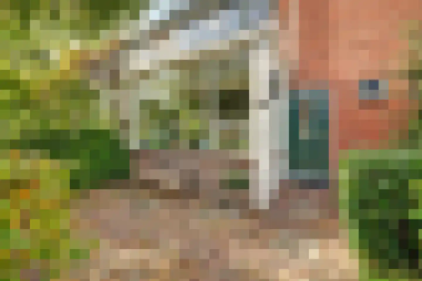 Muilwijckstraat 55 Papendrecht thumbnail 14