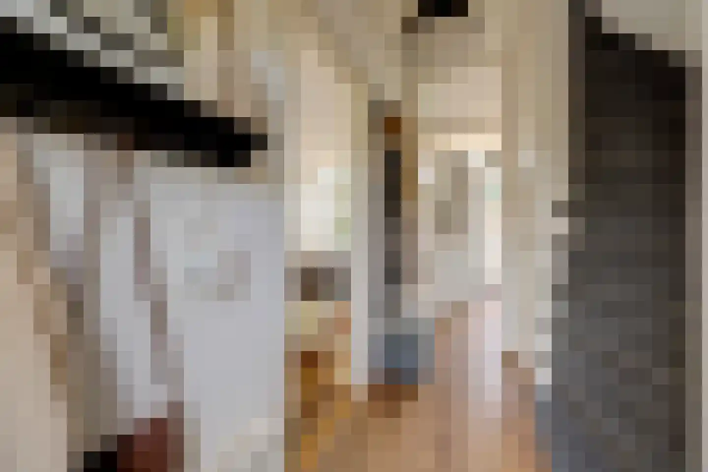 Muilwijckstraat 55 Papendrecht thumbnail 16