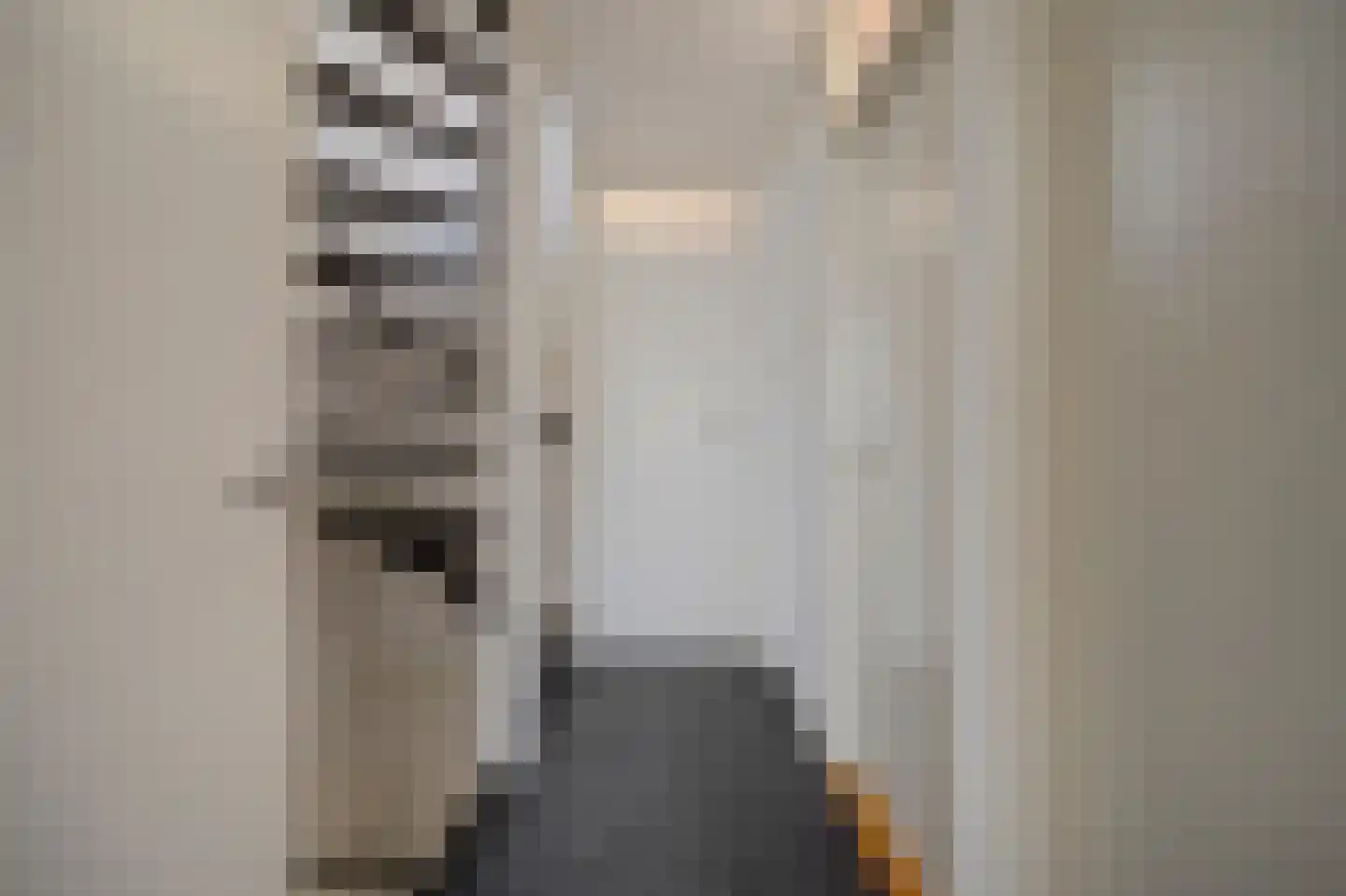 Muilwijckstraat 55 Papendrecht thumbnail 17