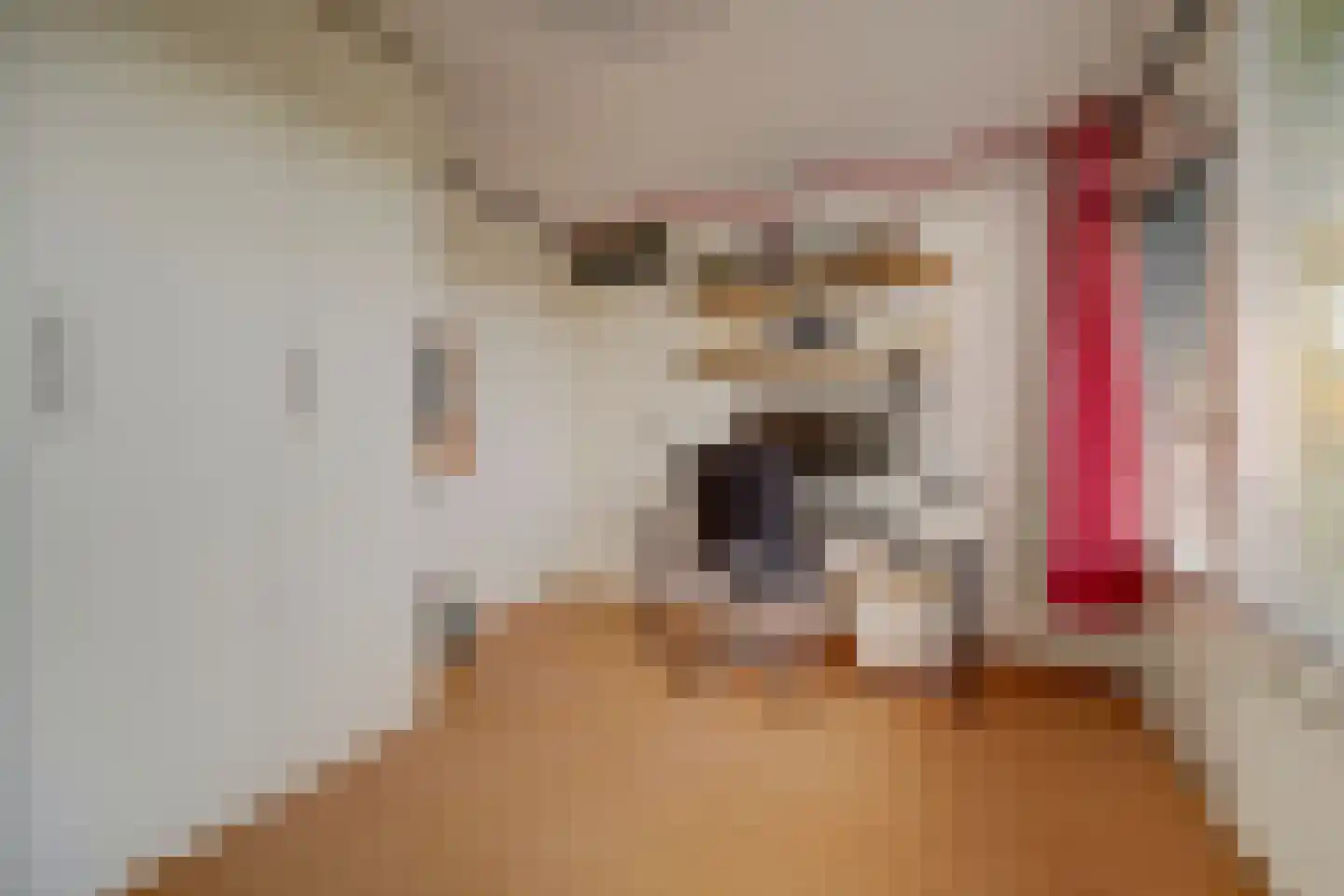 Muilwijckstraat 55 Papendrecht thumbnail 25