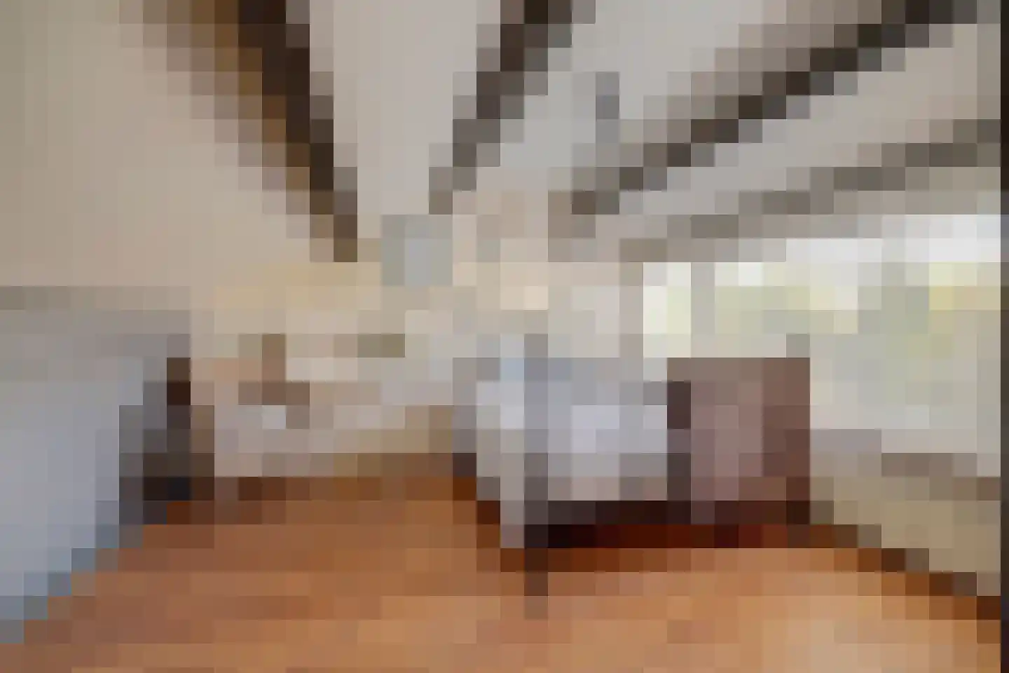 Muilwijckstraat 55 Papendrecht thumbnail 32
