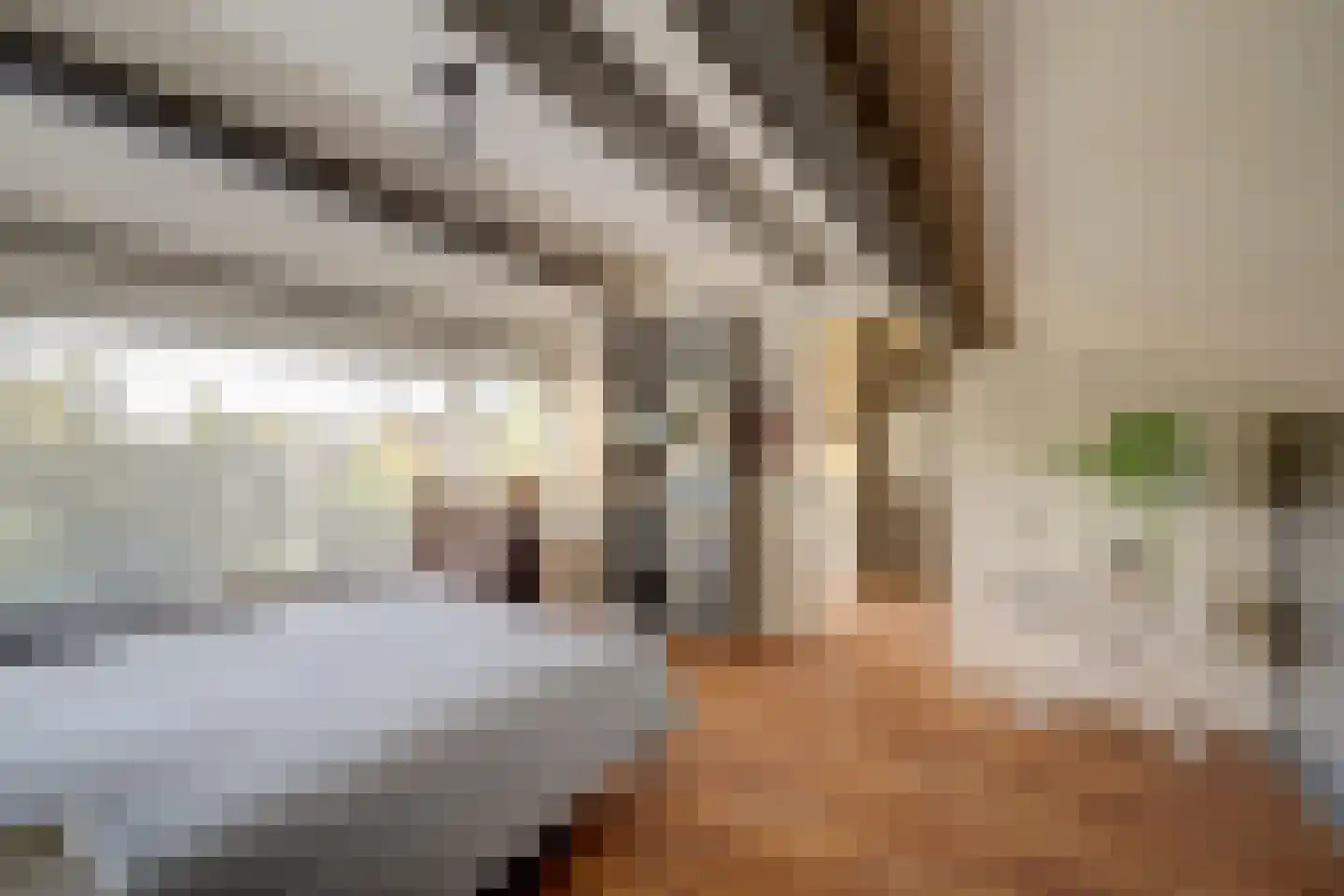Muilwijckstraat 55 Papendrecht thumbnail 34