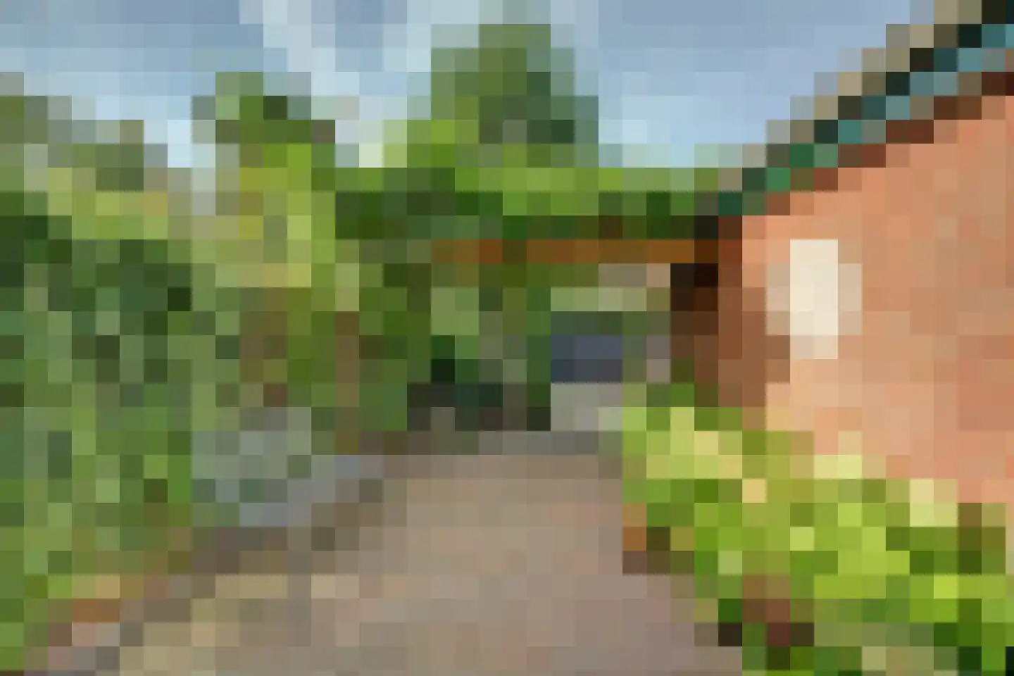 Muilwijckstraat 55 Papendrecht thumbnail 36