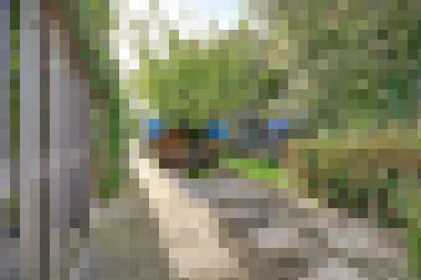 Muilwijckstraat 55 Papendrecht thumbnail 42