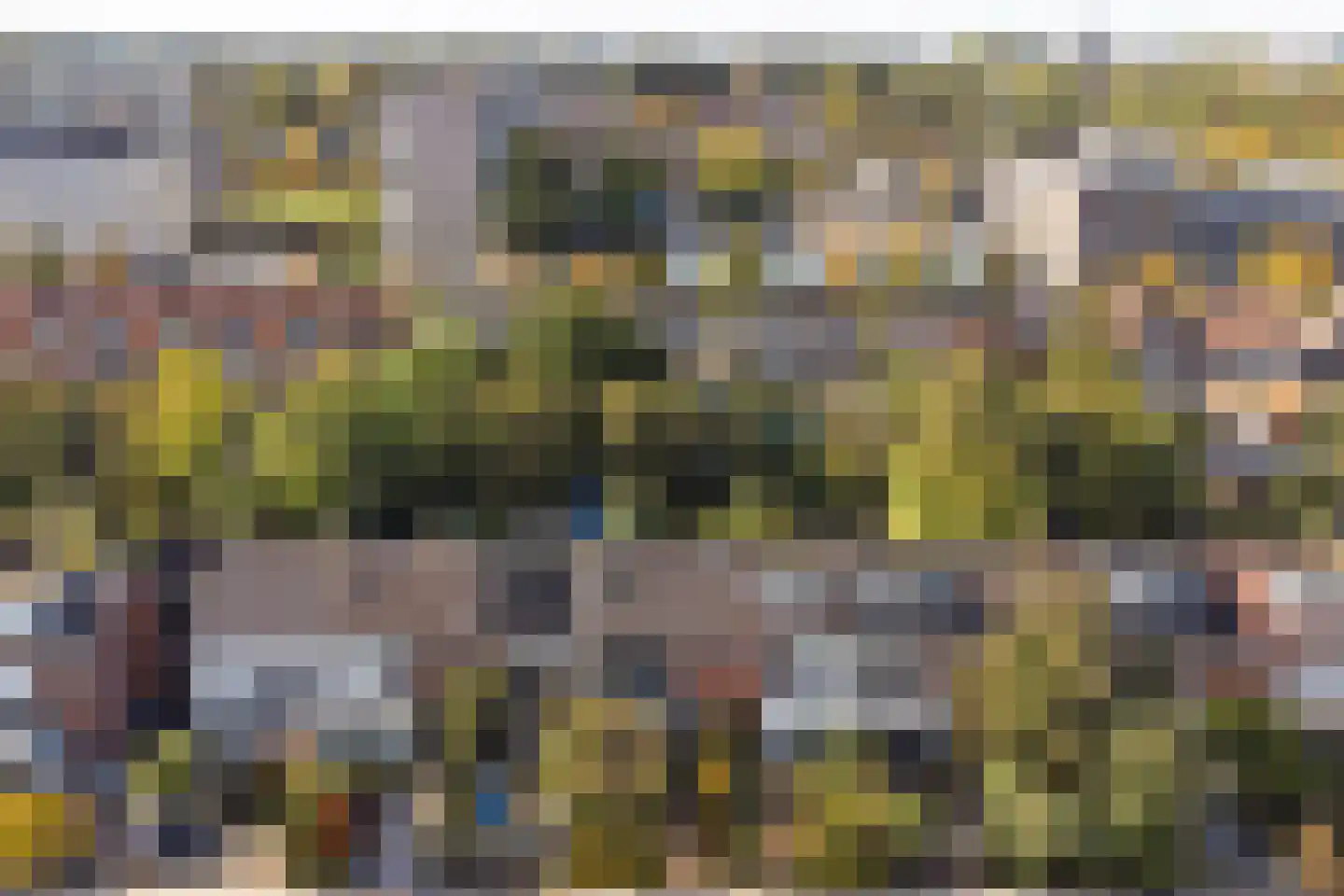 Muilwijckstraat 55 Papendrecht thumbnail 44