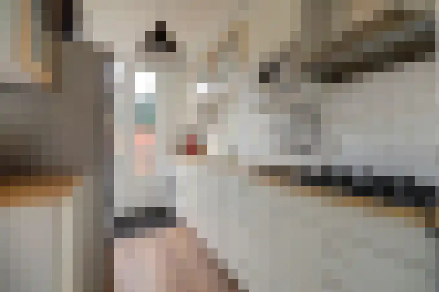 Muilwijckstraat 55 Papendrecht thumbnail 5