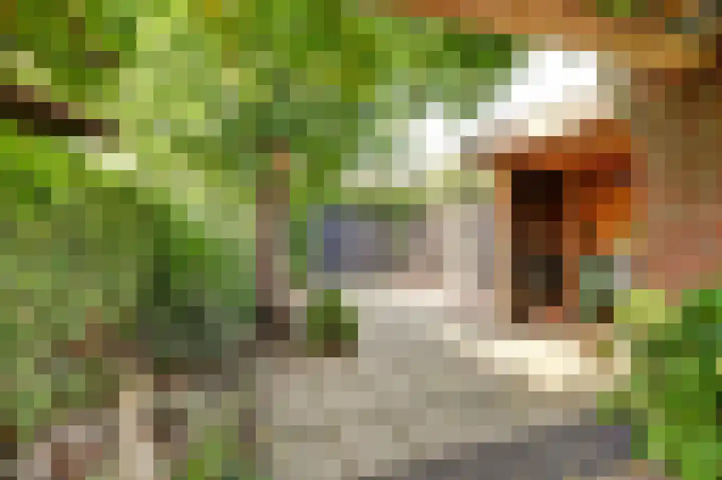 Muilwijckstraat 55 Papendrecht thumbnail 7