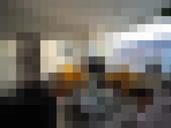 Muilwijckstraat 7 Papendrecht thumbnail 15