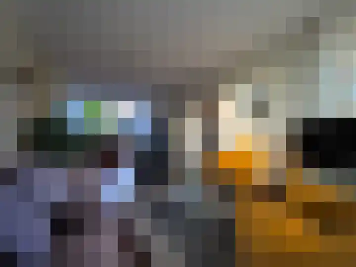 Muilwijckstraat 7 Papendrecht thumbnail 16