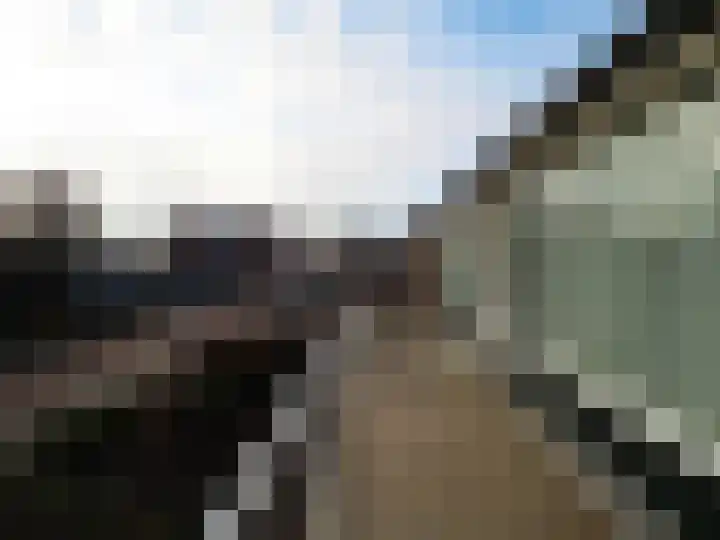 Muilwijckstraat 7 Papendrecht thumbnail 30