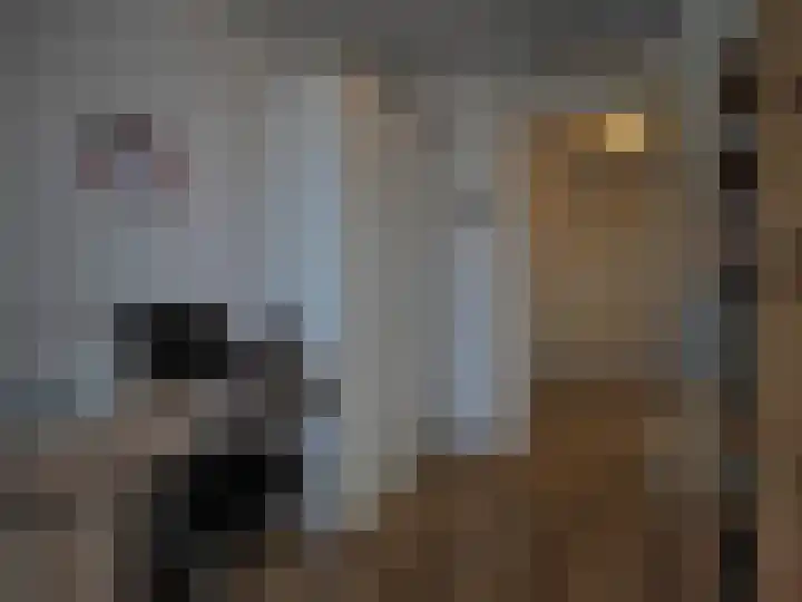 Muilwijckstraat 7 Papendrecht thumbnail 31