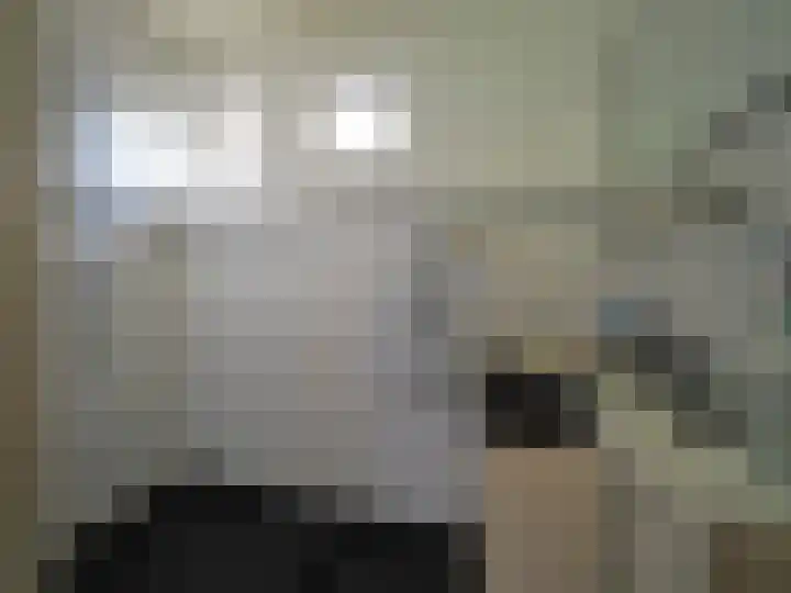 Muilwijckstraat 7 Papendrecht thumbnail 33