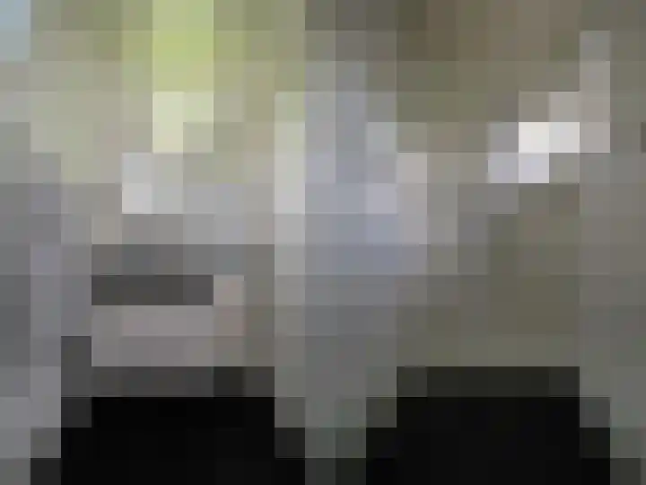 Muilwijckstraat 7 Papendrecht thumbnail 34