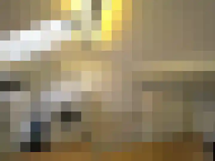 Muilwijckstraat 7 Papendrecht thumbnail 37