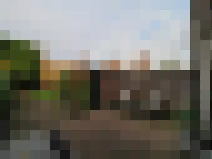Muilwijckstraat 7 Papendrecht thumbnail 43