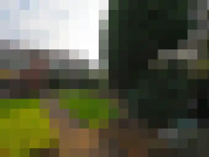 Muilwijckstraat 7 Papendrecht thumbnail 44
