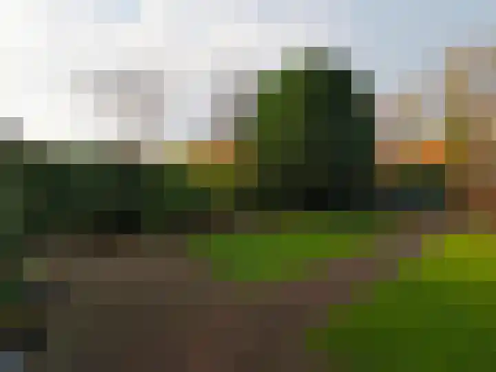 Muilwijckstraat 7 Papendrecht thumbnail 45