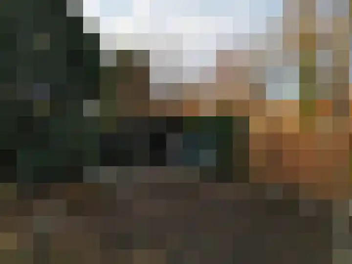 Muilwijckstraat 7 Papendrecht thumbnail 46