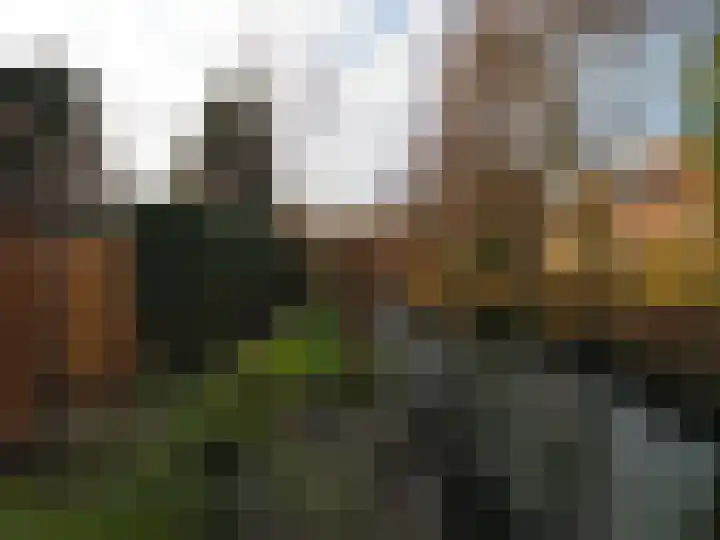 Muilwijckstraat 7 Papendrecht thumbnail 47