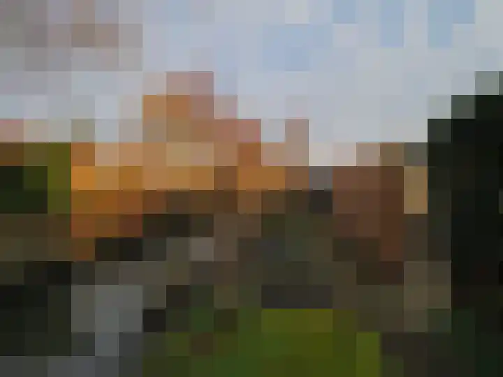 Muilwijckstraat 7 Papendrecht thumbnail 48