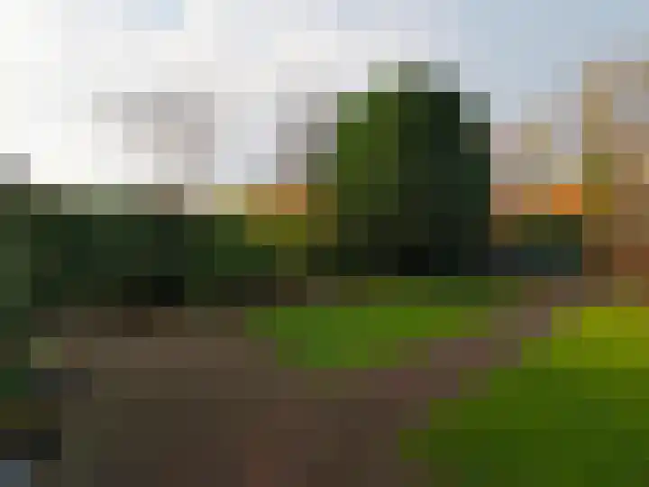 Muilwijckstraat 7 Papendrecht thumbnail 6