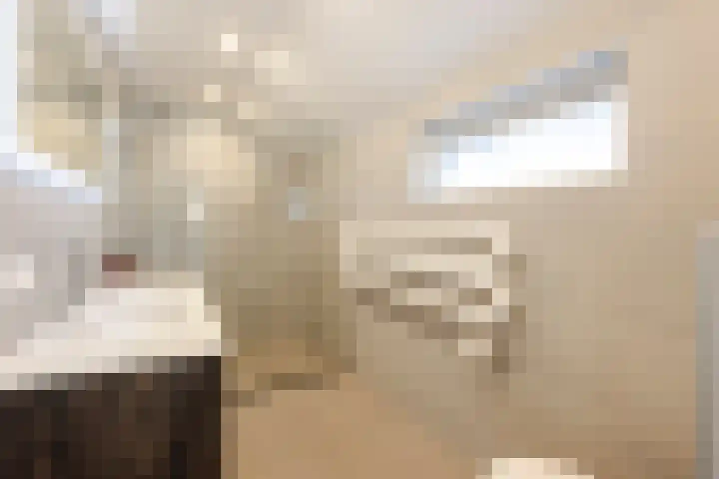 Muisbroekseweg 24 Giessenburg thumbnail 26