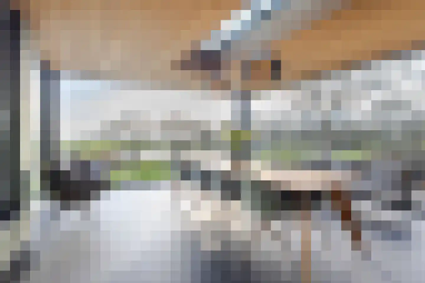Muisbroekseweg 24 Giessenburg thumbnail 33
