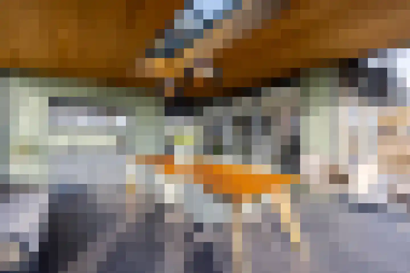 Muisbroekseweg 24 Giessenburg thumbnail 36