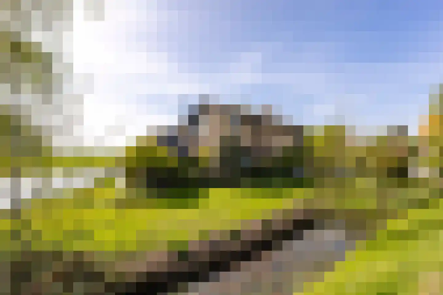 Muisbroekseweg 24 Giessenburg thumbnail 38