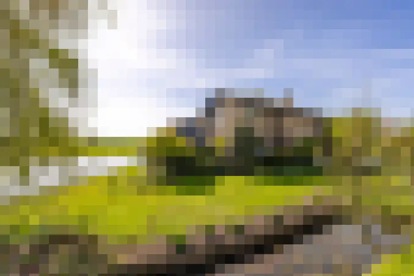 Muisbroekseweg 24 Giessenburg thumbnail 41