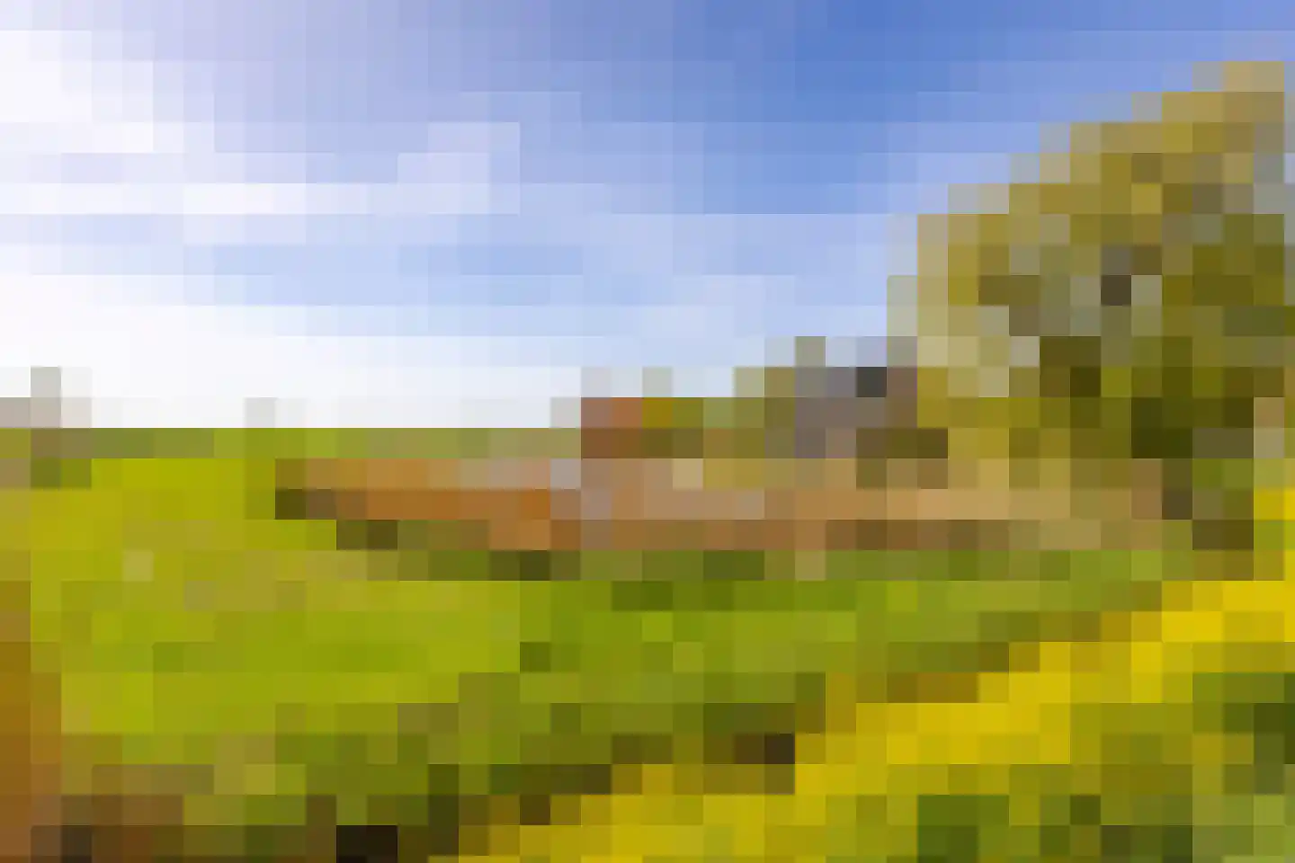 Muisbroekseweg 24 Giessenburg thumbnail 42