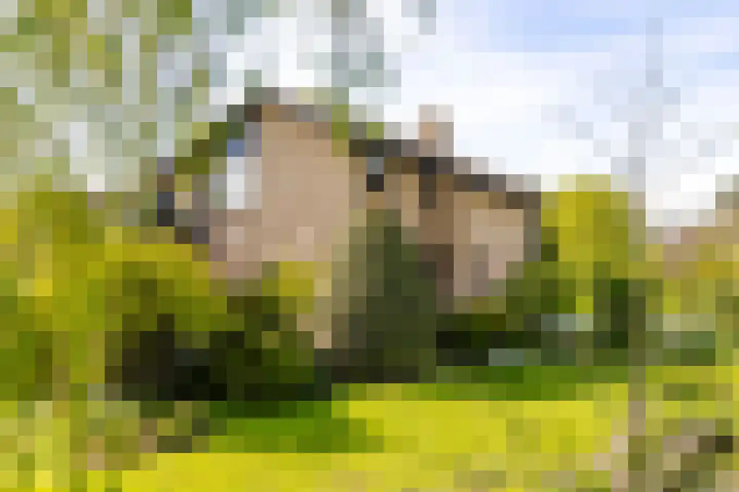 Muisbroekseweg 24 Giessenburg thumbnail 44