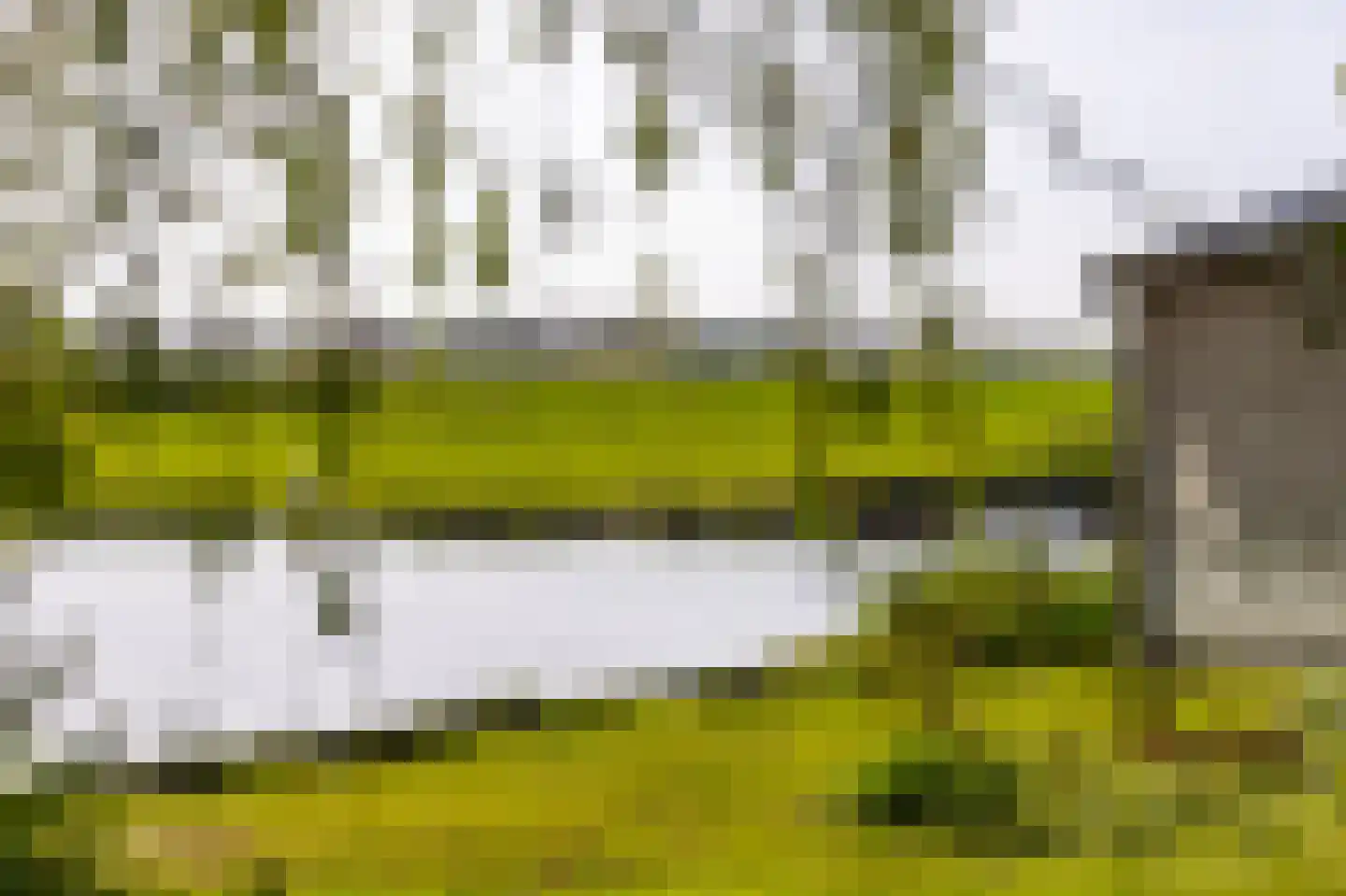Muisbroekseweg 24 Giessenburg thumbnail 45
