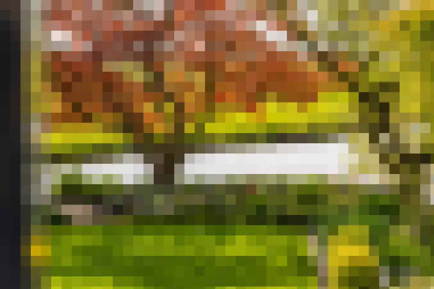Muisbroekseweg 24 Giessenburg thumbnail 49