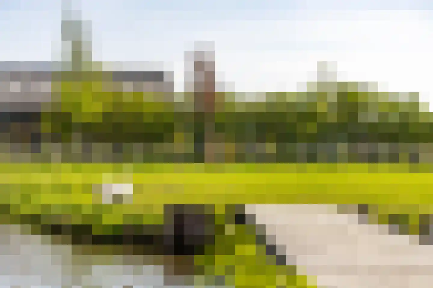 Muisbroekseweg 24 Giessenburg thumbnail 51