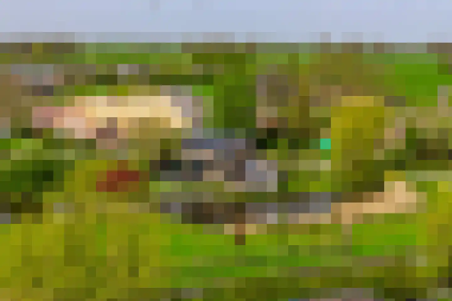 Muisbroekseweg 24 Giessenburg thumbnail 55