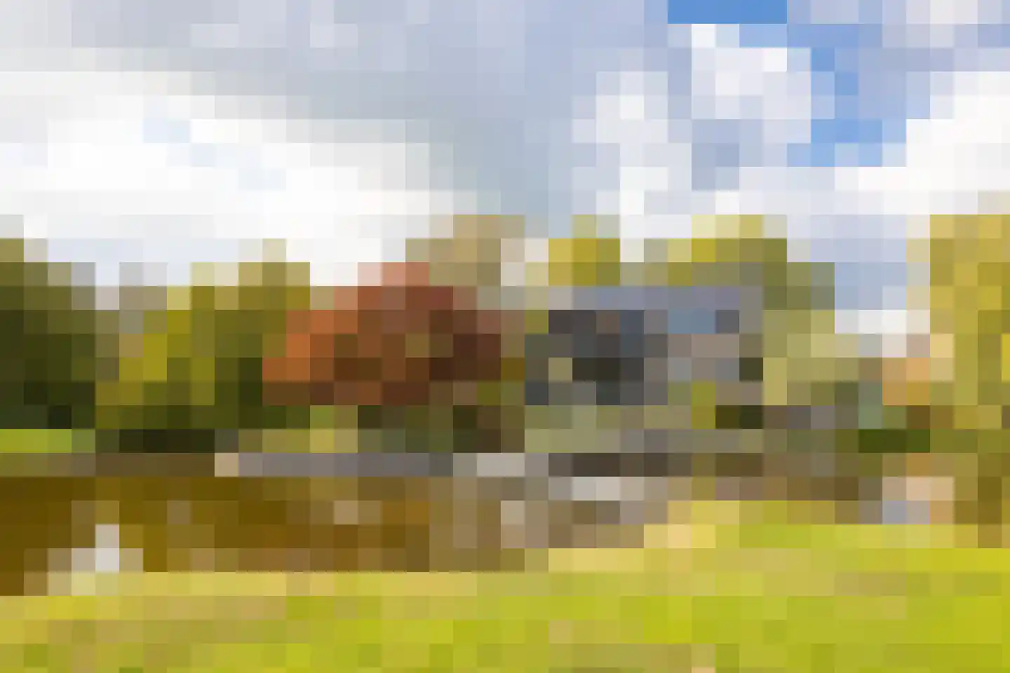 Muisbroekseweg 24 Giessenburg thumbnail 58
