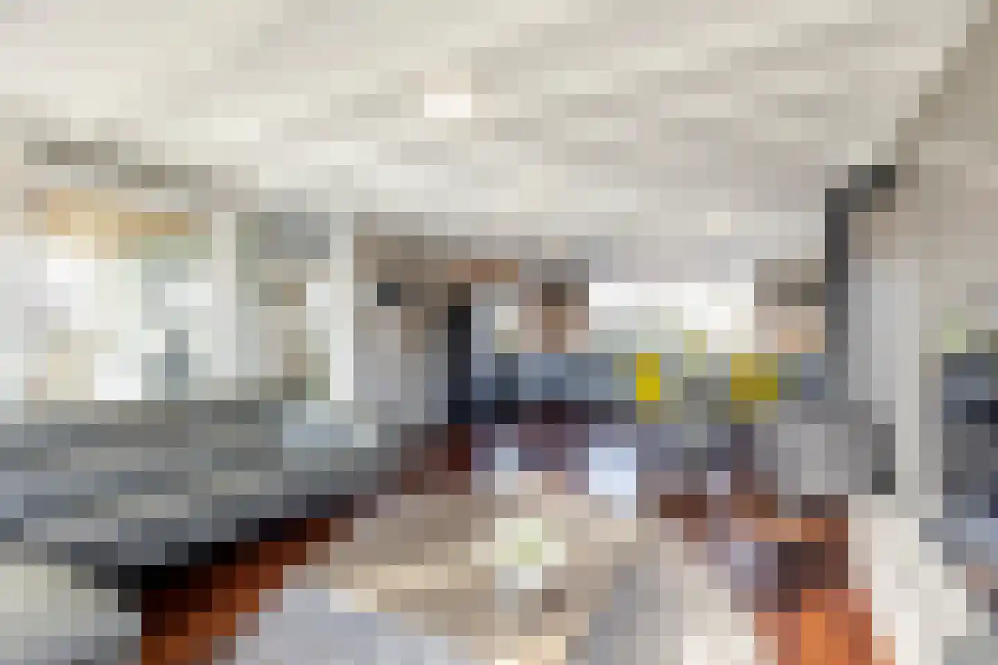 Muisbroekseweg 24 Giessenburg thumbnail 6