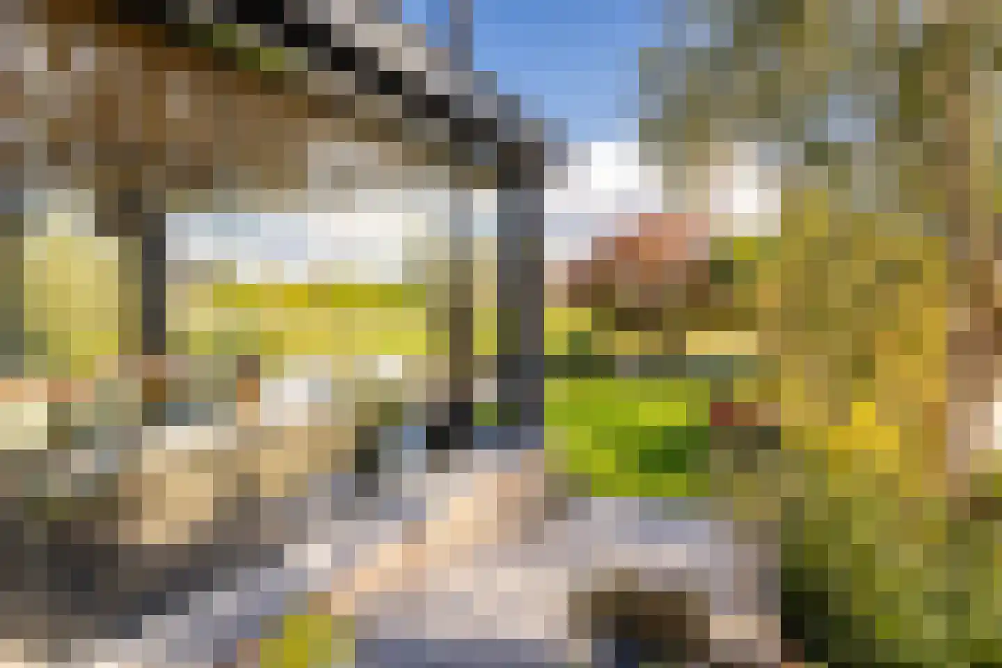 Muisbroekseweg 24 Giessenburg thumbnail 64