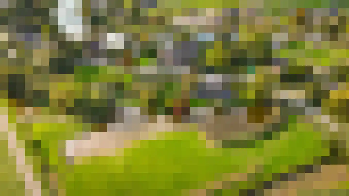 Muisbroekseweg 24 Giessenburg thumbnail 65