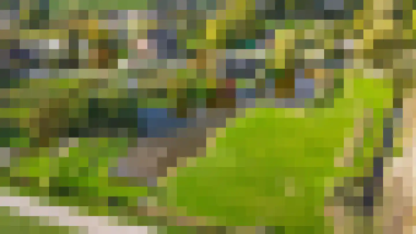 Muisbroekseweg 24 Giessenburg thumbnail 66