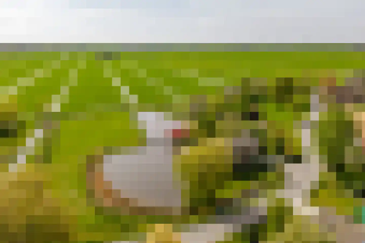 Muisbroekseweg 24 Giessenburg thumbnail 67