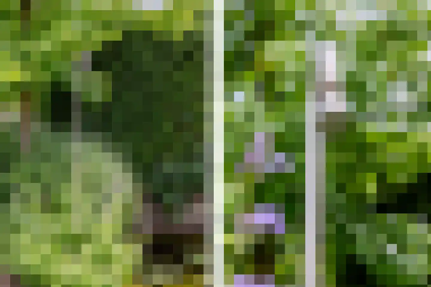 Muisbroekseweg 25 Giessenburg thumbnail 16