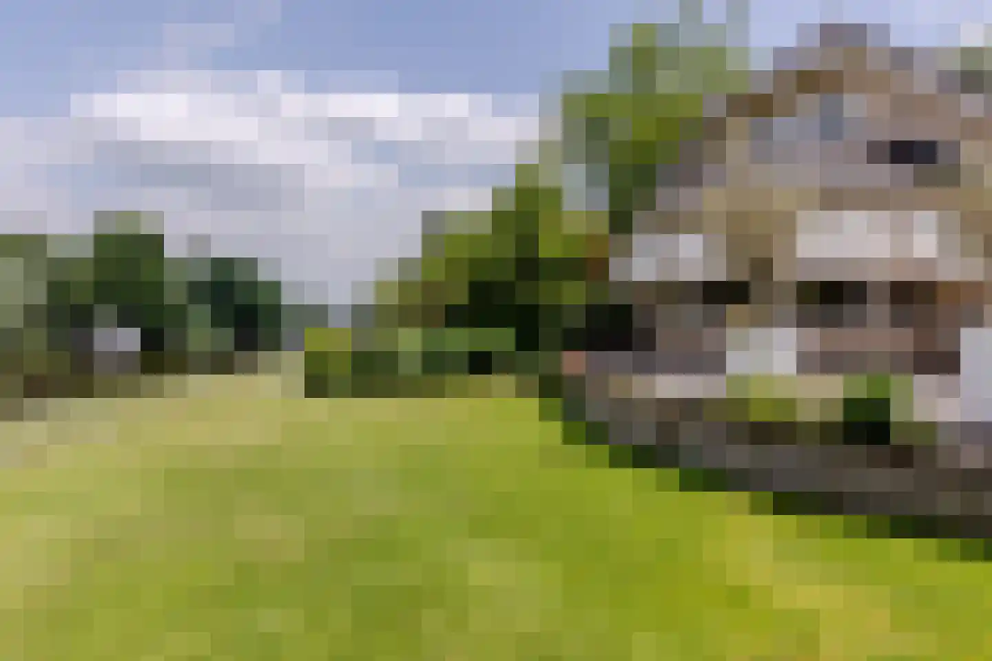 Muisbroekseweg 25 Giessenburg thumbnail 17