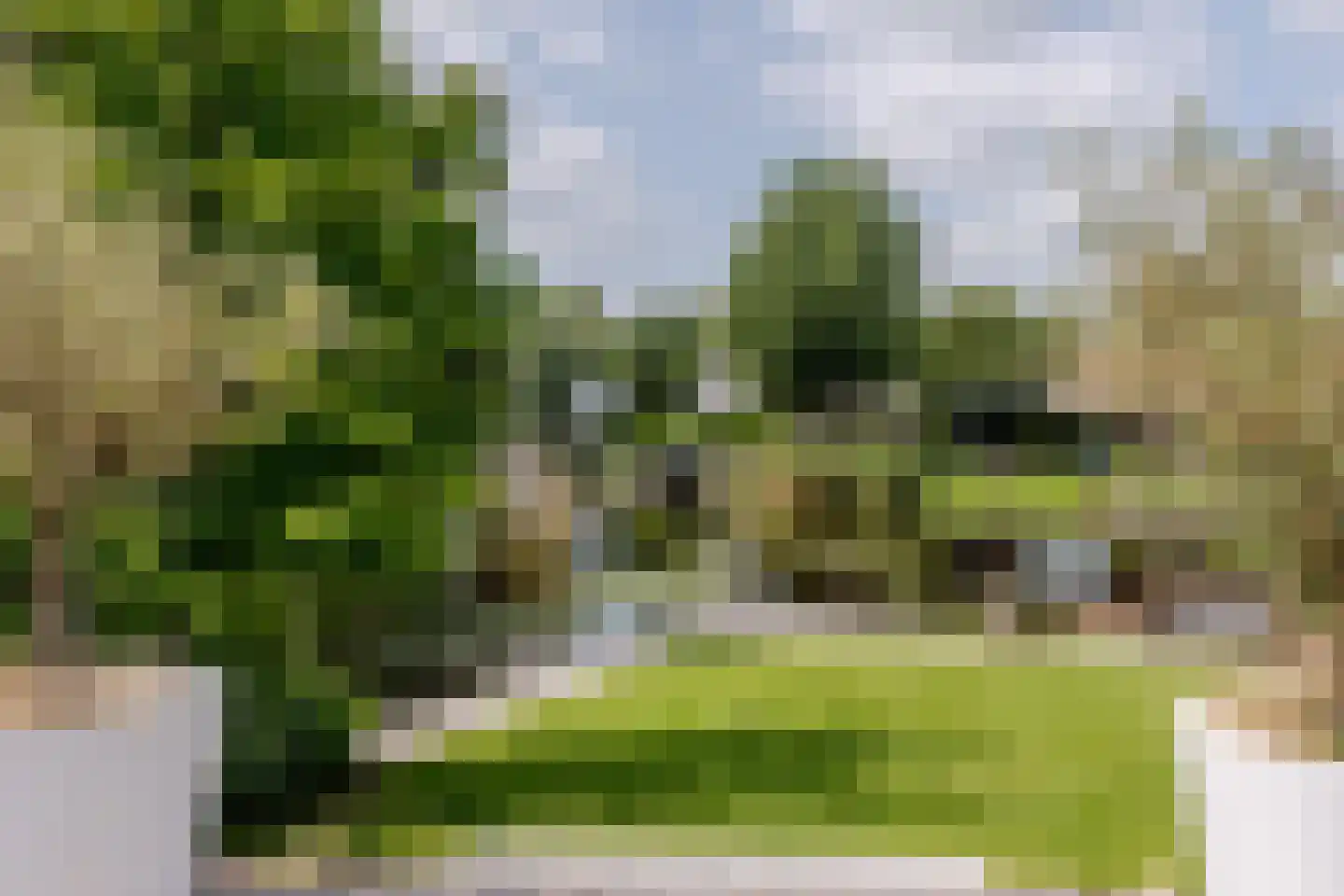 Muisbroekseweg 25 Giessenburg thumbnail 18