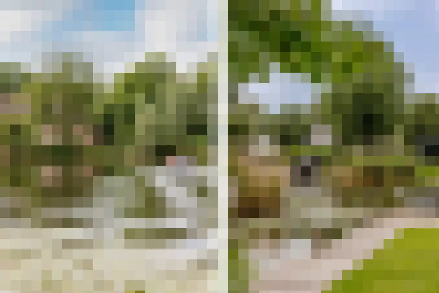 Muisbroekseweg 25 Giessenburg thumbnail 19